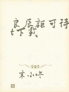 良辰讵可待txt下载