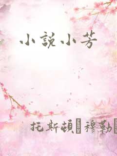 小说小芳