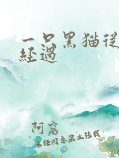 一只黑猫从眼前经过