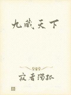 九藏天下
