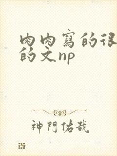 肉肉写的很细致的文np