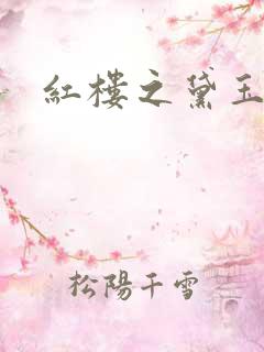 红楼之黛玉之弟