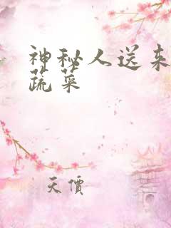 神秘人送来千斤蔬菜