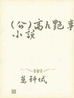 (公)高h艳事小说