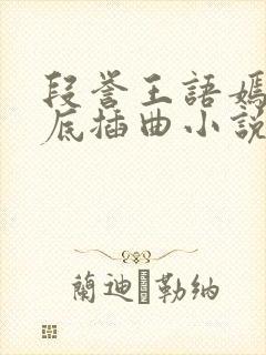 段誉王语嫣在井底插曲小说