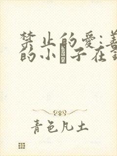 禁止的爱:善良的小峓子在钱姜