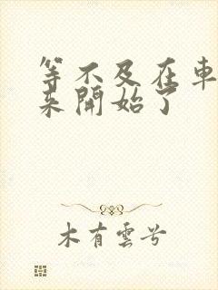 等不及在车里就来开始了