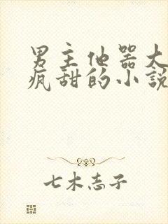 男主他器大活好疯甜的小说