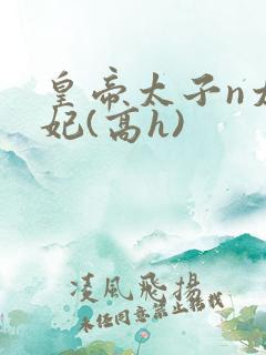 皇帝太子n太子妃(高h)