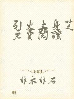 引火上身芝麻糖免费阅读