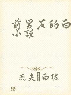 前男友的白月光小说
