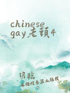 chinesegay老头4
