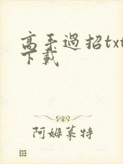 高手过招txt下载