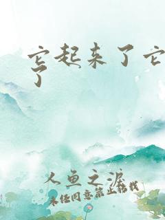 它起来了它想你了