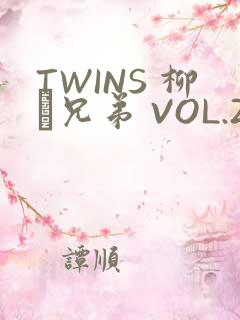 TWINS 柳澤兄弟 VOL.2