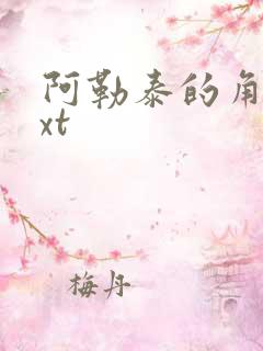 阿勒泰的角落txt