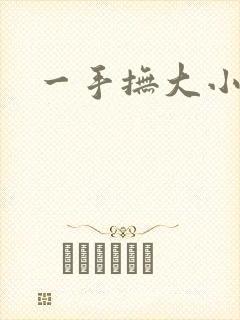 一手抚大小说