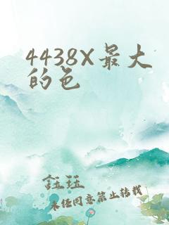 4438X最大的色