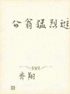 公翁猛烈进出H