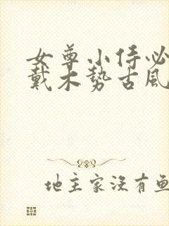 女尊小侍必须佩戴木势古风