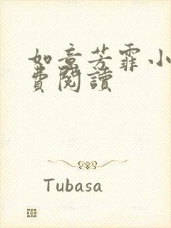 如意芳霏小说免费阅读