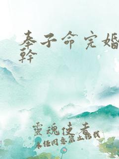 奉子命完婚 高干