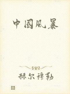 中国风暴