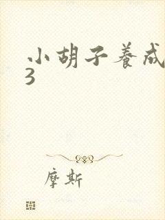 小胡子养成计划3