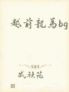 越前龙马bg