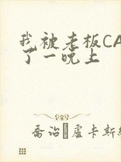 我被老板CAO了一晚上