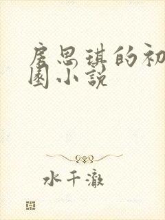 房思琪的初恋乐园小说