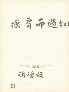 擦肩而过txt