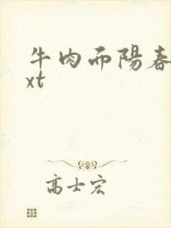 牛肉面阳春面txt
