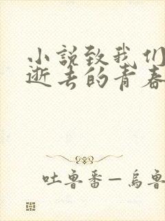 小说致我们终将逝去的青春