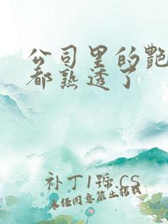 公司里的艳妇们都熟透了