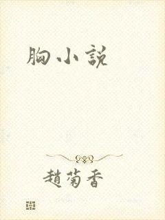 胸小说