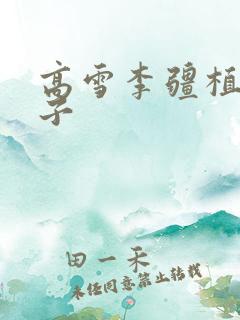 高雪李疆植物儿子