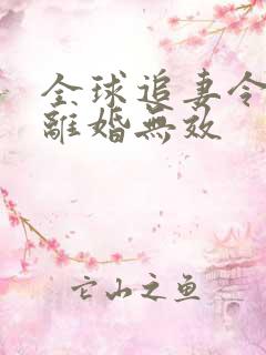 全球追妻令老婆离婚无效