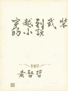 穿越到武装少女的小说