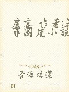 房客 作者:无罪国度小说全文免费