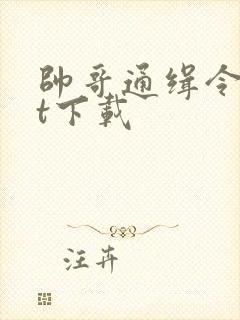 帅哥通缉令txt下载