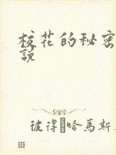 校花的秘密 小说