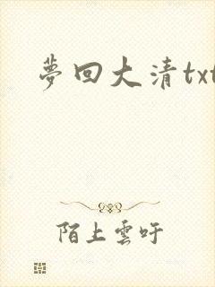 梦回大清txt