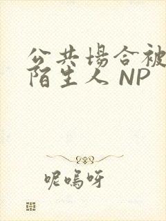 公共场合被各种陌生人 NP