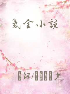 氪金小说