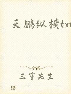 天鹏纵横txt