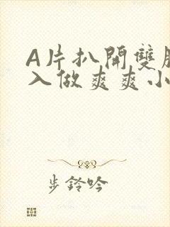 A片扒开双腿进入做爽爽小说