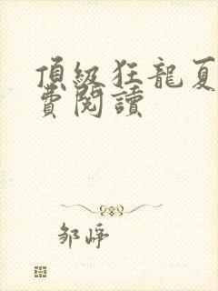 顶级狂龙夏天免费阅读