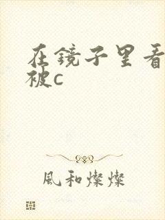 在镜子里看自己被c