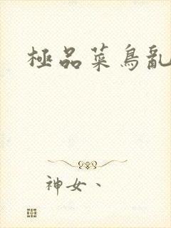 极品菜鸟乱江湖